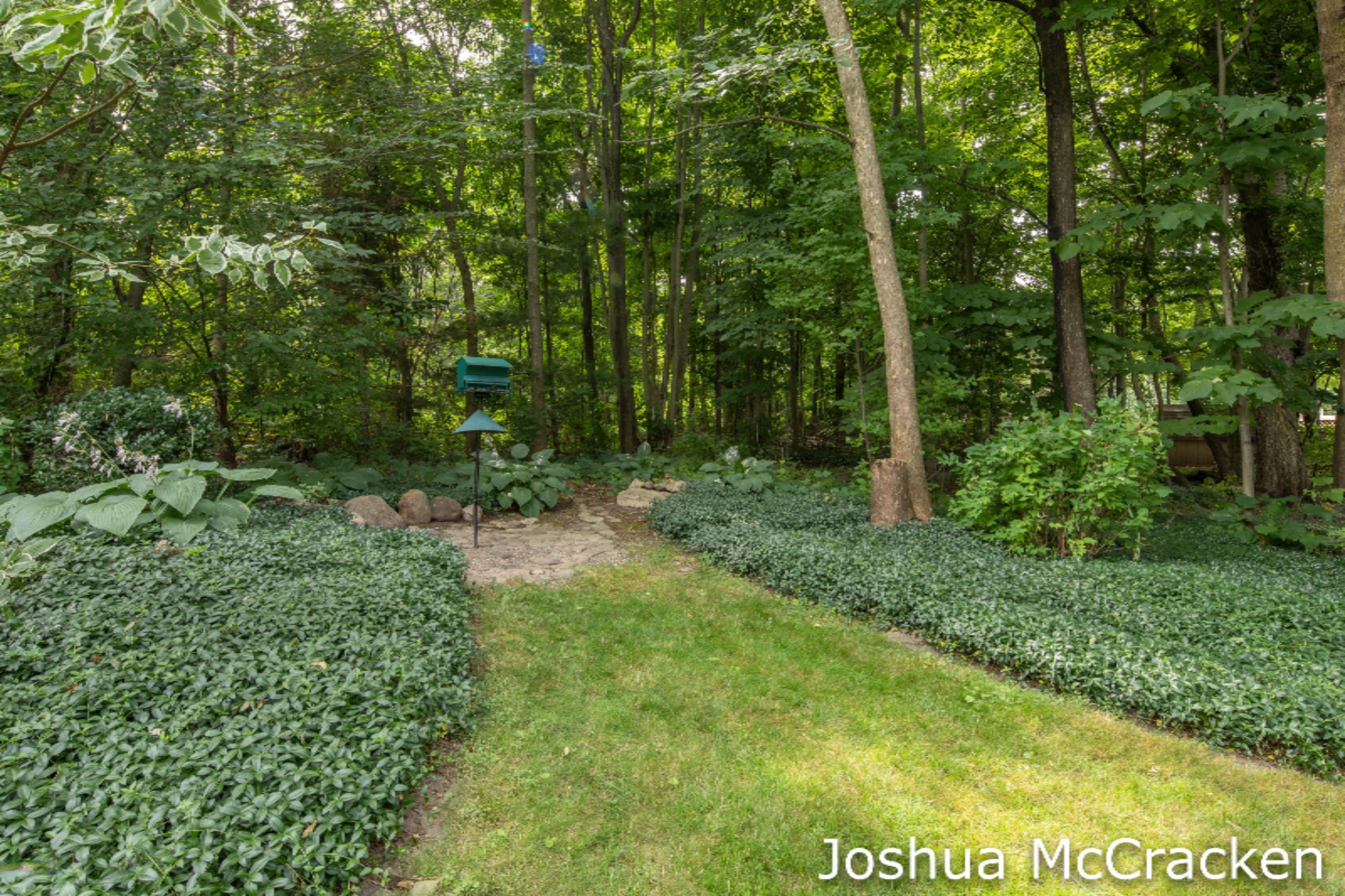407 Dakota Drive Northwest Grand Rapids, MI 49544 - Photo 22 of 24 Joshua McCracken-Dakota Drive NW GR-20