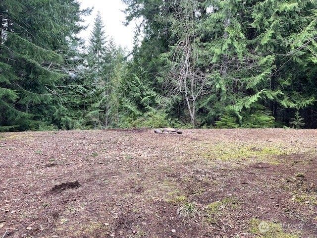 22 North Dow Rdg Road Hoodsport, WA 98548 - Photo 9 of 9 Gallery Image 9