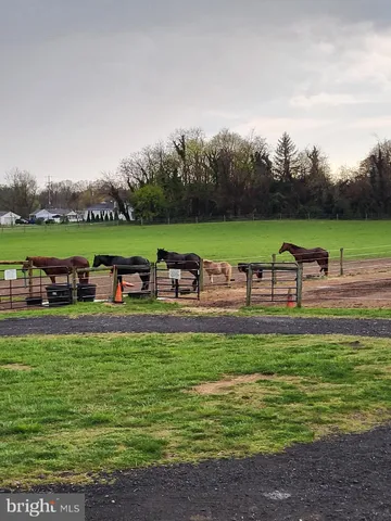 a green field with lots of trees in it