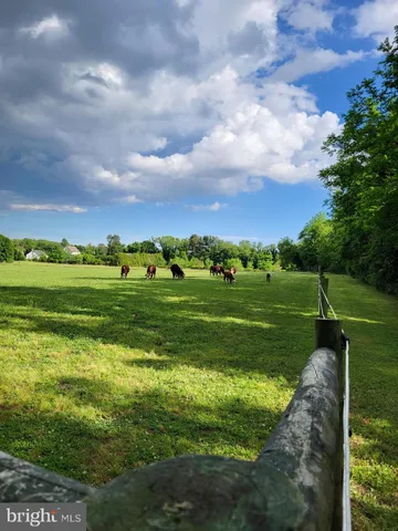a view of a hallway with wooden floor and a livingroom