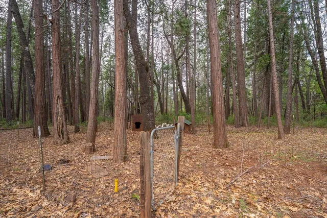 $390,000 | 29960 Wengler Hill Road, Shingletown, CA 96088