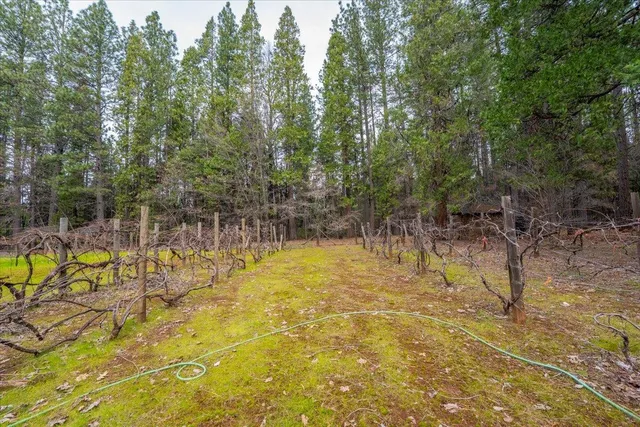 $390,000 | 29960 Wengler Hill Road, Shingletown, CA 96088