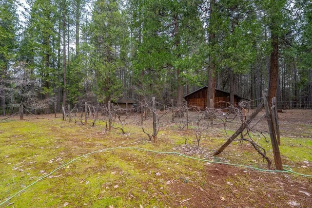 $390,000 | 29960 Wengler Hill Road, Shingletown, CA 96088