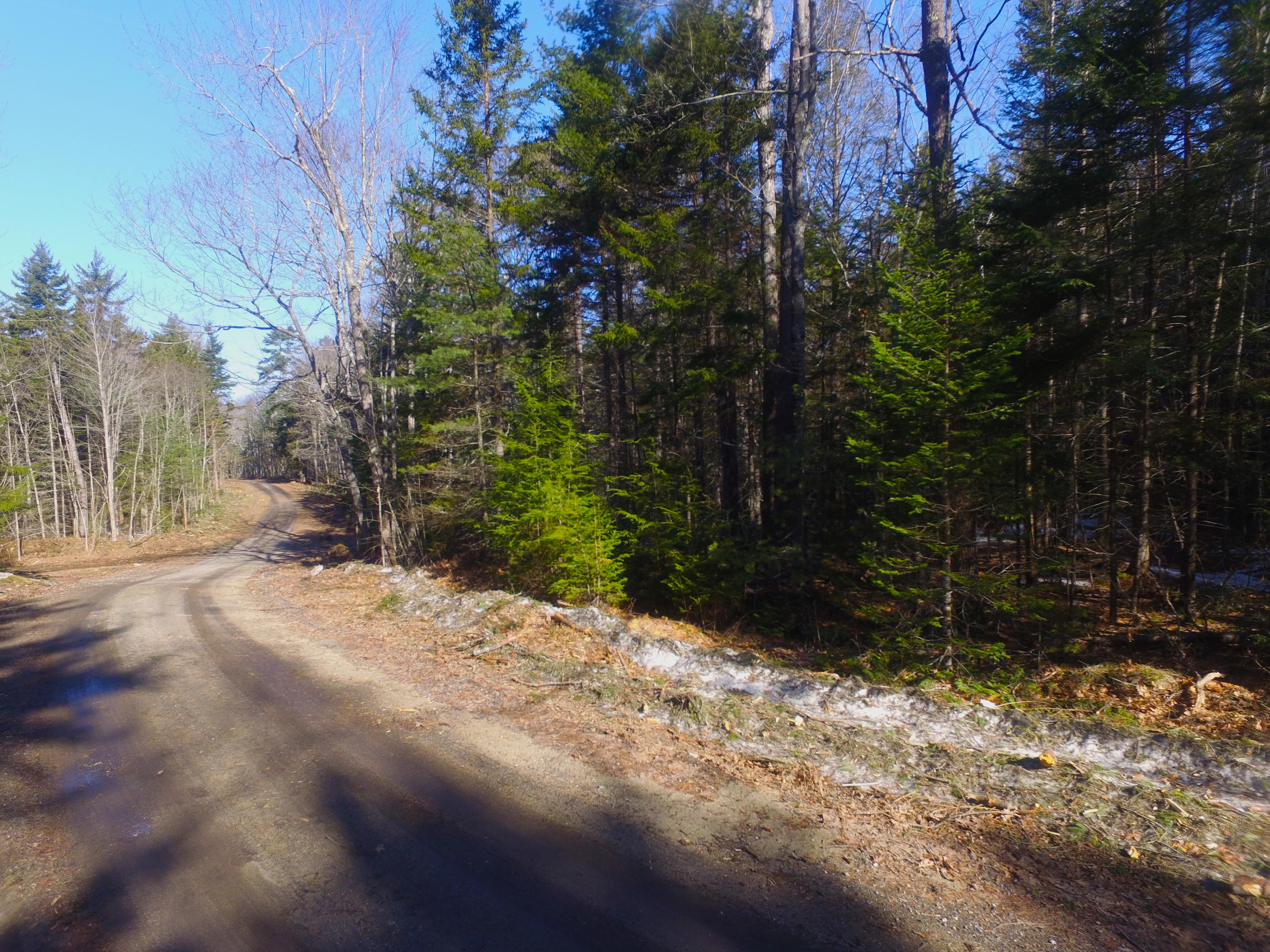 Lot 1 Pinecrest Road Harpswell, ME 04079 - Photo 4 of 8 DJI_0469