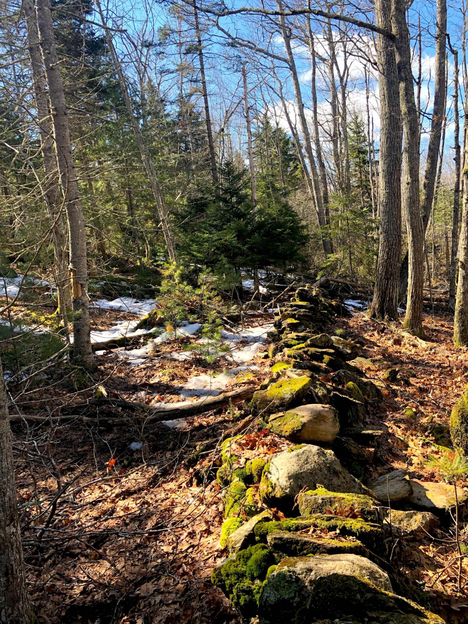 Lot 1 Pinecrest Road Harpswell, ME 04079 - Photo 6 of 8 IMG_1897