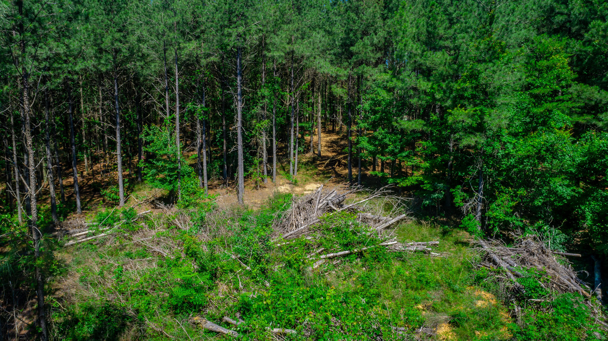 0 Split Rail Way, Unit LOT 1163 Guild, TN 37340 - Photo 61 of 118 River Gorge Lot 1163 HD-67