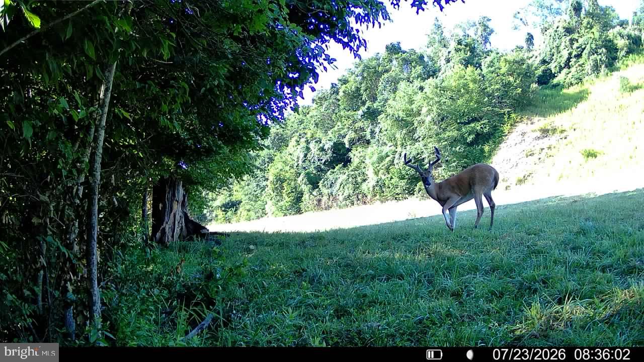 552 Wilson Road Parker, PA 16049 - Photo 16 of 60 Gallery Image 16