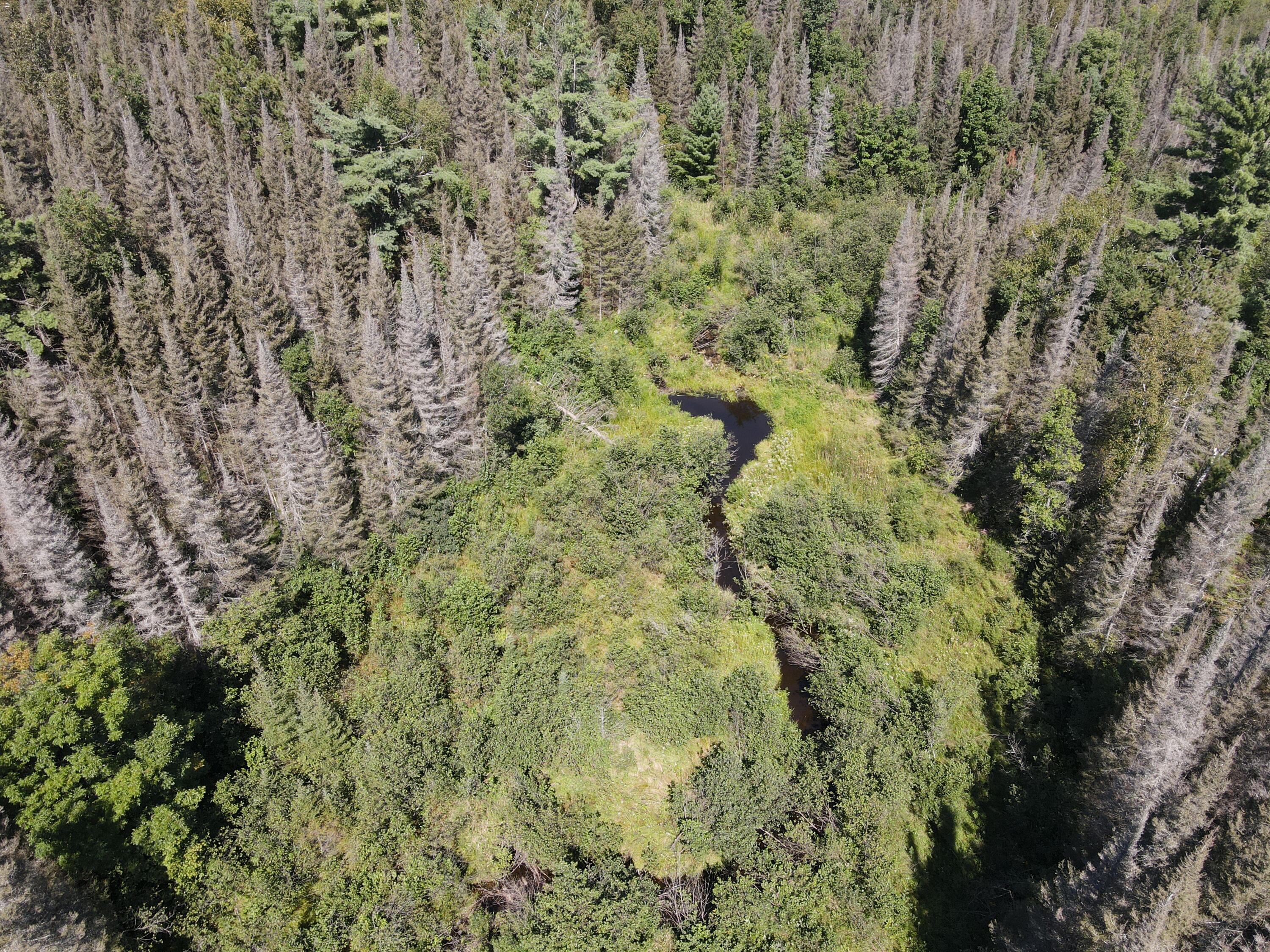 6720 Welch Road Curran, MI 48728 - Photo 118 of 155 DJI_0669