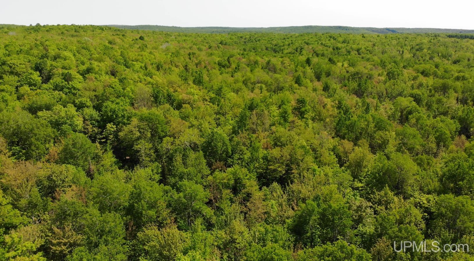 14571 Holombo Road Bruce Crossing, MI 49912 - Photo 17 of 30