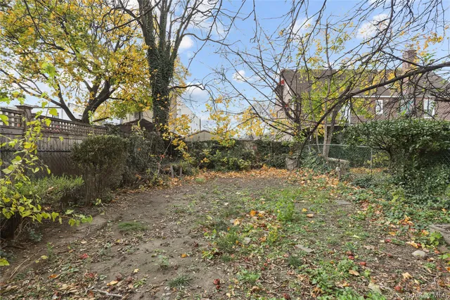 a view of a yard with plants and trees