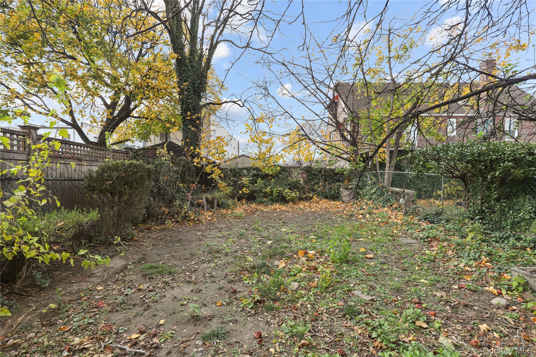 1631 Paulding Avenue Bronx, NY 10462 - Photo 21 of 22 a view of a yard with plants and trees