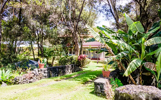 a view of backyard with plants and outdoor seating