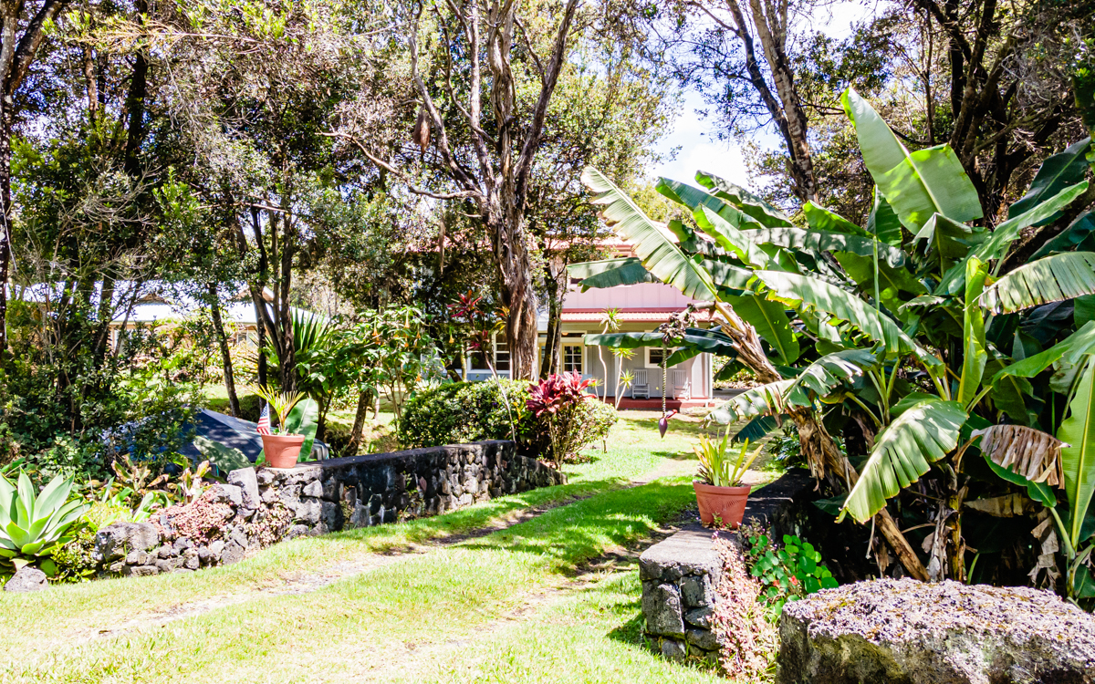 a view of backyard with plants and outdoor seating