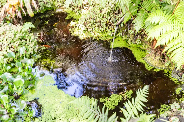 a view of front door of house