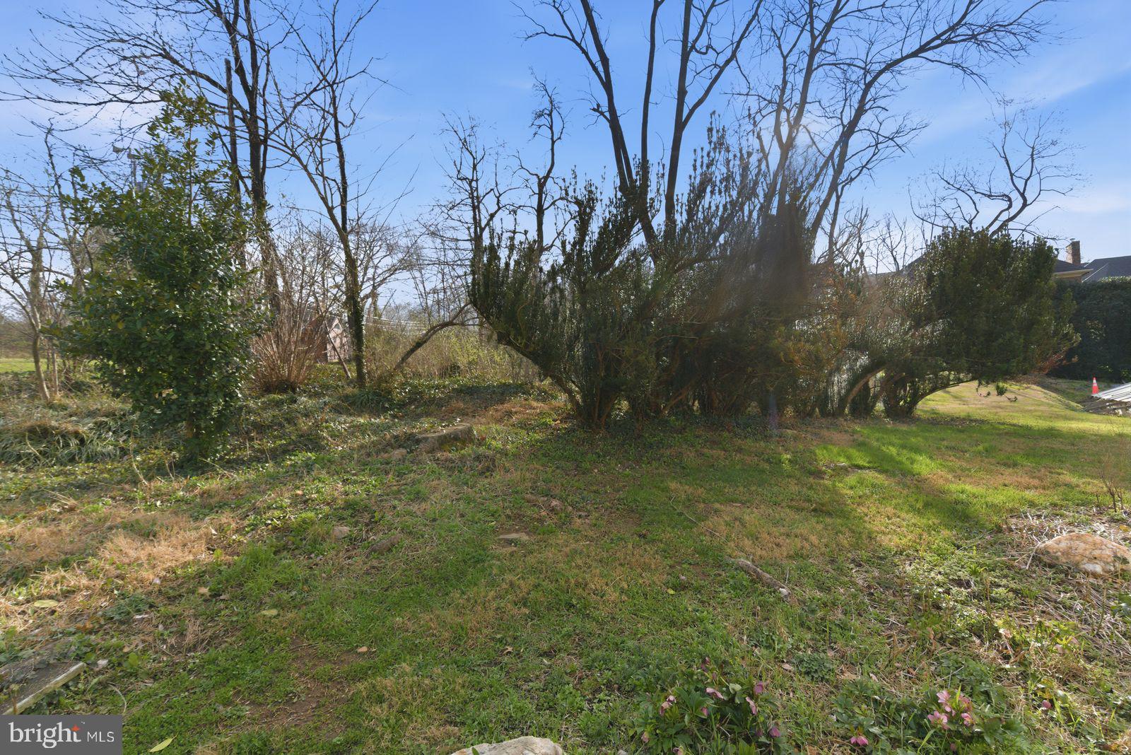 4464 North Old Glebe Road Arlington, VA 22207 - Photo 19 of 21 a view of backyard with green space