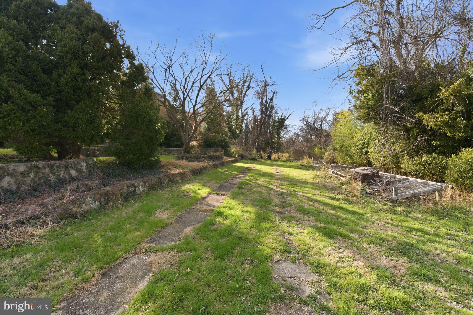 4464 North Old Glebe Road Arlington, VA 22207 - Photo 7 of 21 a view of a yard with a tree