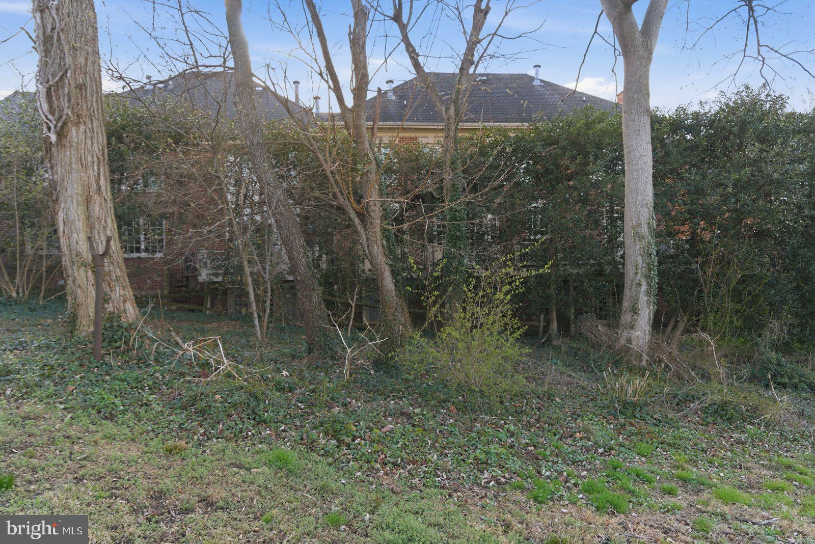 4464 North Old Glebe Road Arlington, VA 22207 - Photo 8 of 21 a view of a forest