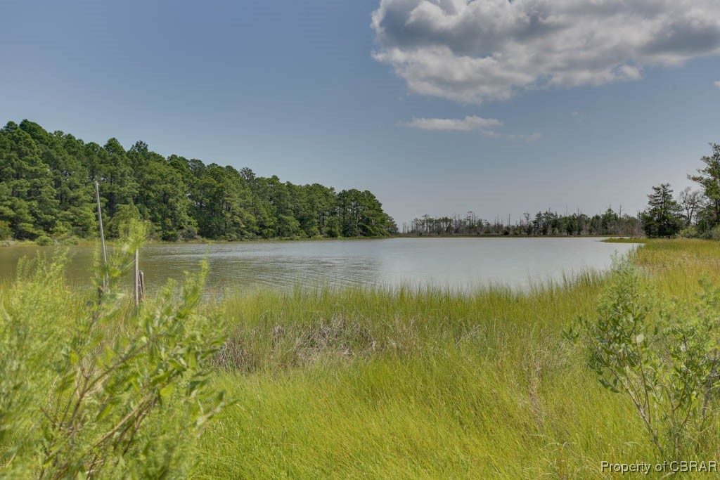 411 Piney Point Road Onemo, VA 23130 - Photo 2 of 37