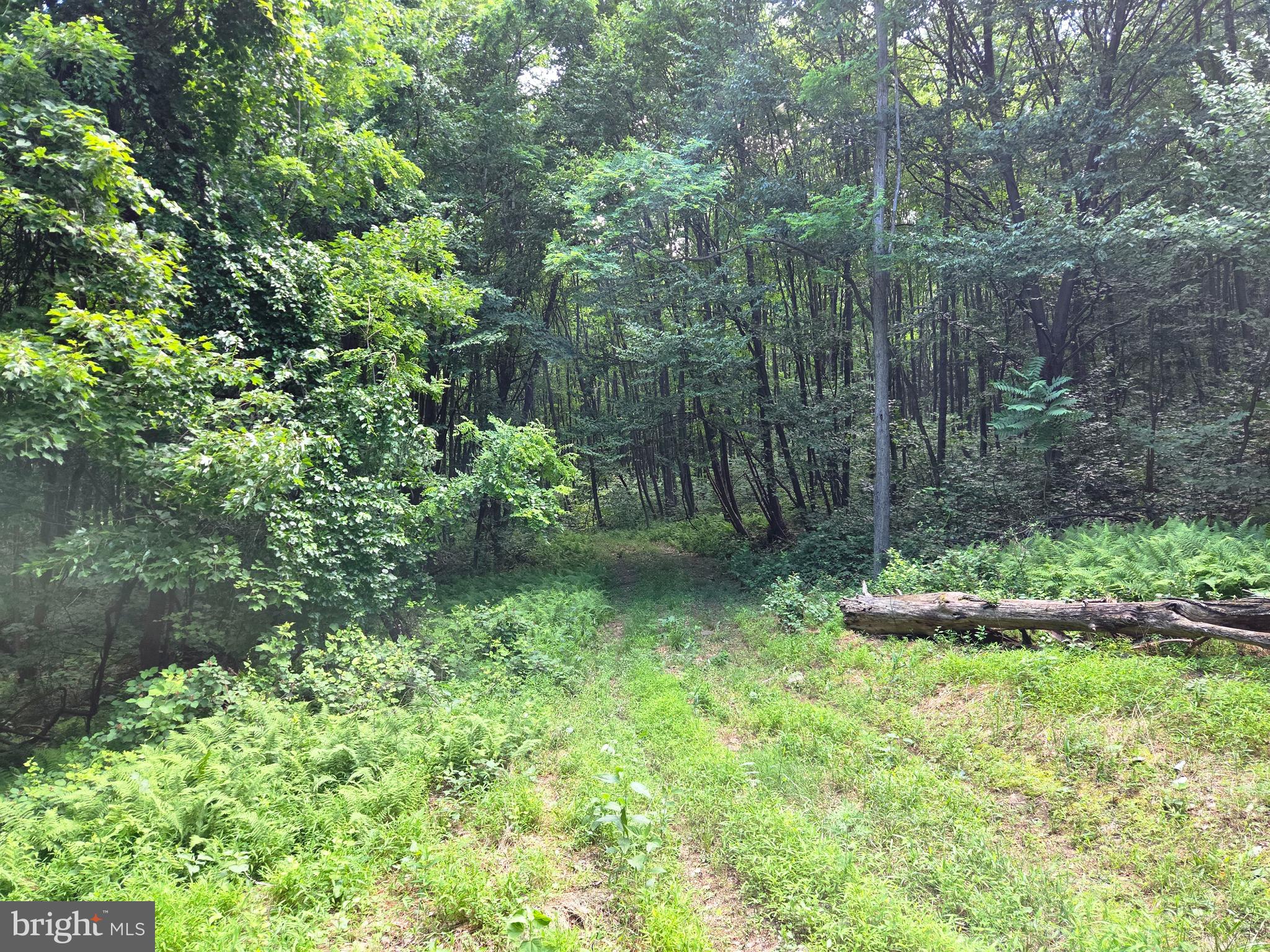 0 Carlisle Gap Road Lewistown, PA 17044 - Photo 26 of 53