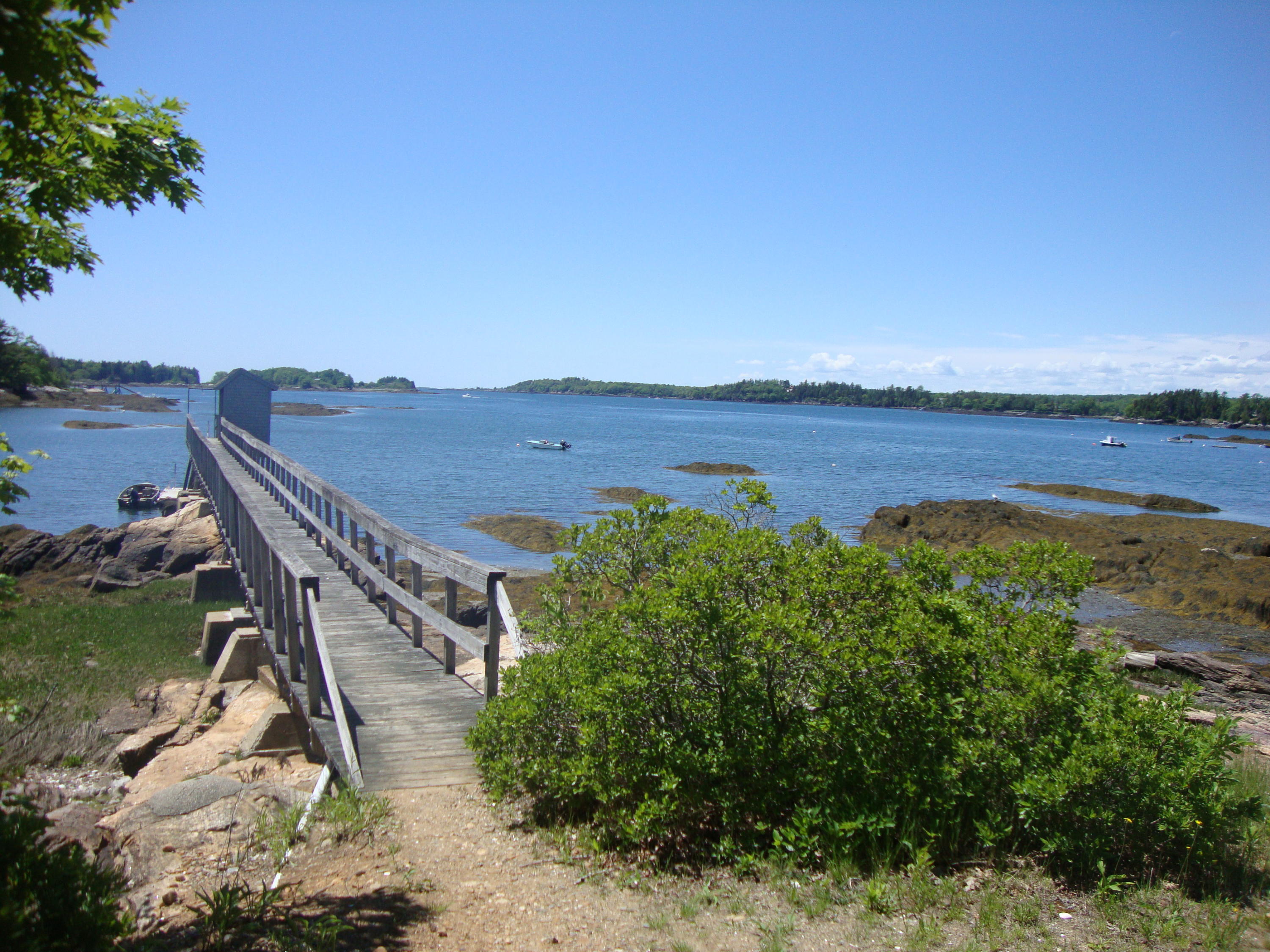 0 Little Ponds Road Harpswell, ME 04079 - Photo 12 of 18 DSC07615