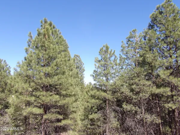 $59,900 | 1601 Moqui Drive, Unit 77, Happy Jack, AZ 86024