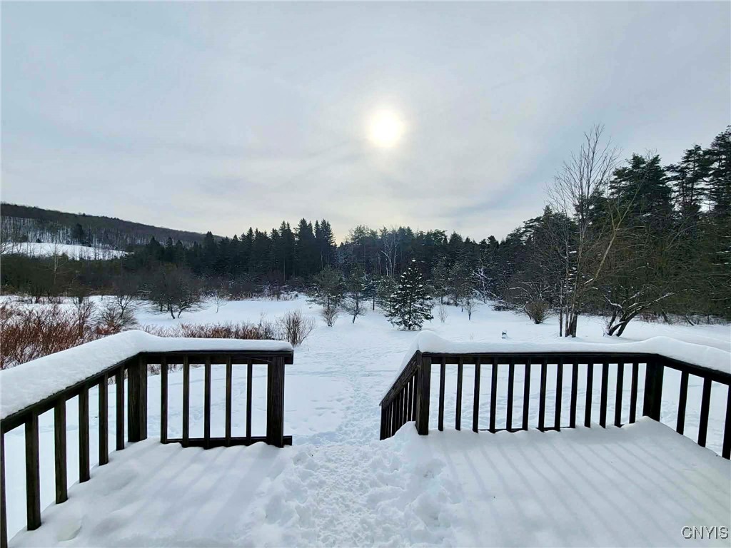 3768 Sanderson Road Nelson, NY 13061 - Photo 26 of 28