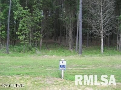Lot 358 Parrish Ridge Lane Goreville, IL 62939 - Photo 8 of 9