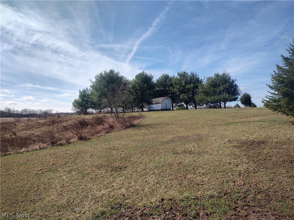 11973 Virtue Road Kimbolton, OH 43749 - Photo 6 of 12 View of green lawn featuring a view of countryside and a storage shed