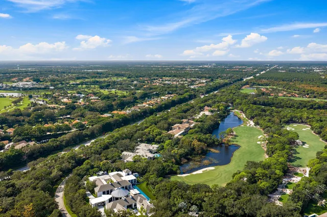an aerial view of residential houses with outdoor space and trees