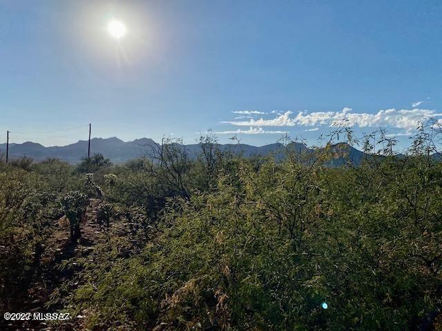 1809 Japon Court, Unit 38 Rio Rico, AZ 85648 - Photo 6 of 6