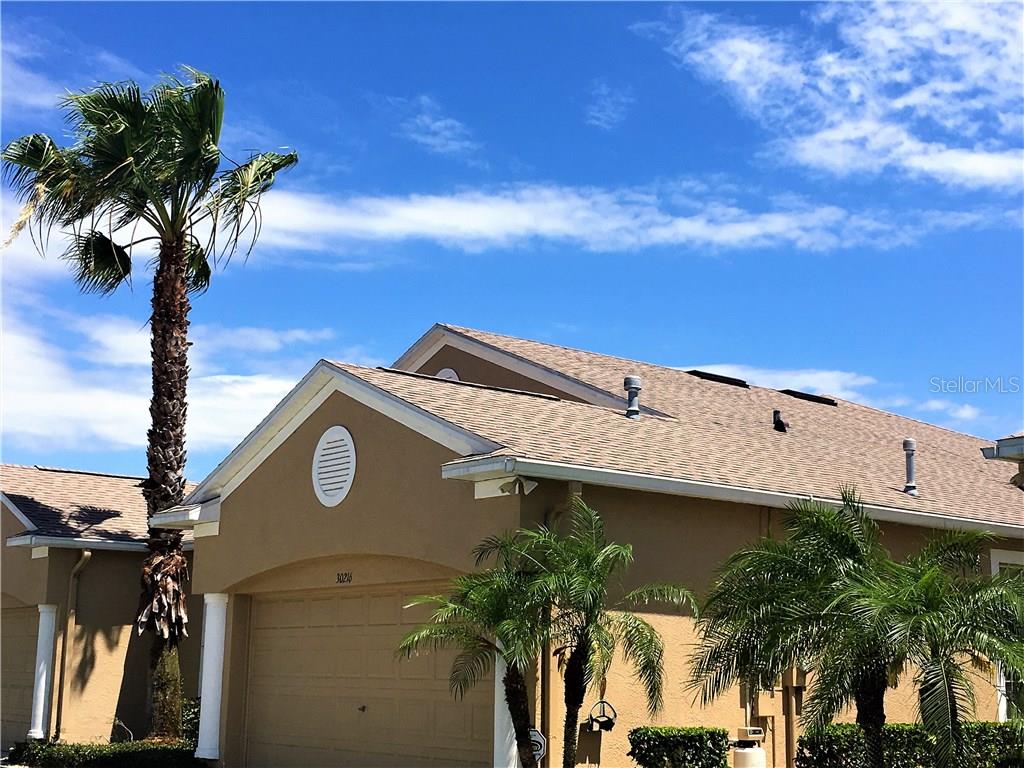 30216 Lettingwell Circle Wesley Chapel, FL 33543 - Photo 1 of 1 Gallery Image 1