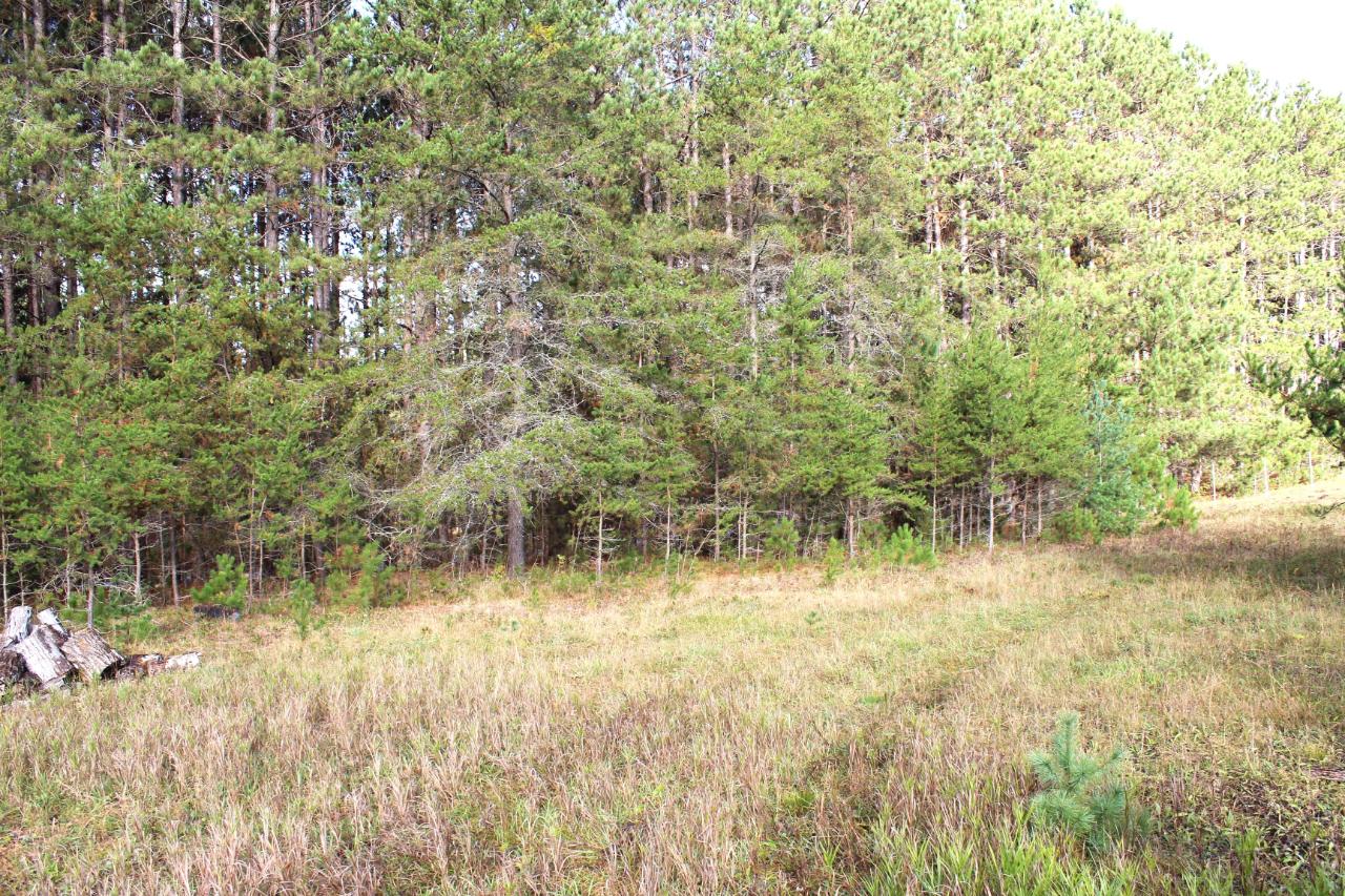 9228 Jenny Lake Road Tomahawk, WI 54487 - Photo 32 of 49 Gallery Image 32