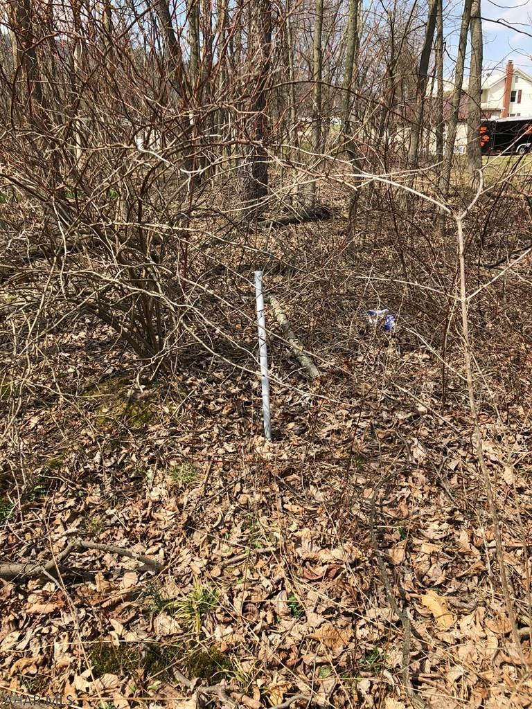 Off Dibert Road Everett, PA 15537 - Photo 20 of 23 Gallery Image 20