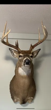 $329,000 | 3041 Elk Antler Avenue, Plainwell, MI 49080