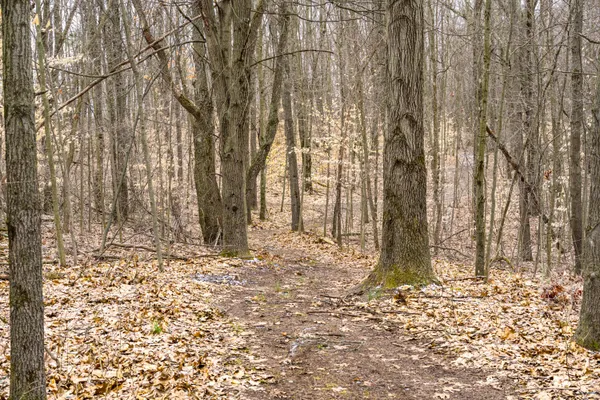 $329,000 | 3041 Elk Antler Avenue, Plainwell, MI 49080