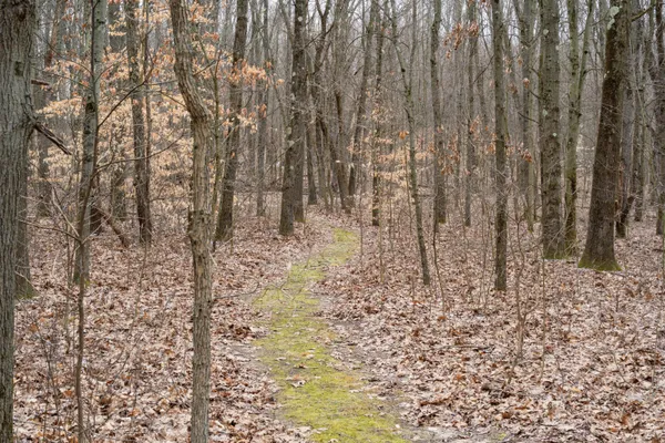 $329,000 | 3041 Elk Antler Avenue, Plainwell, MI 49080