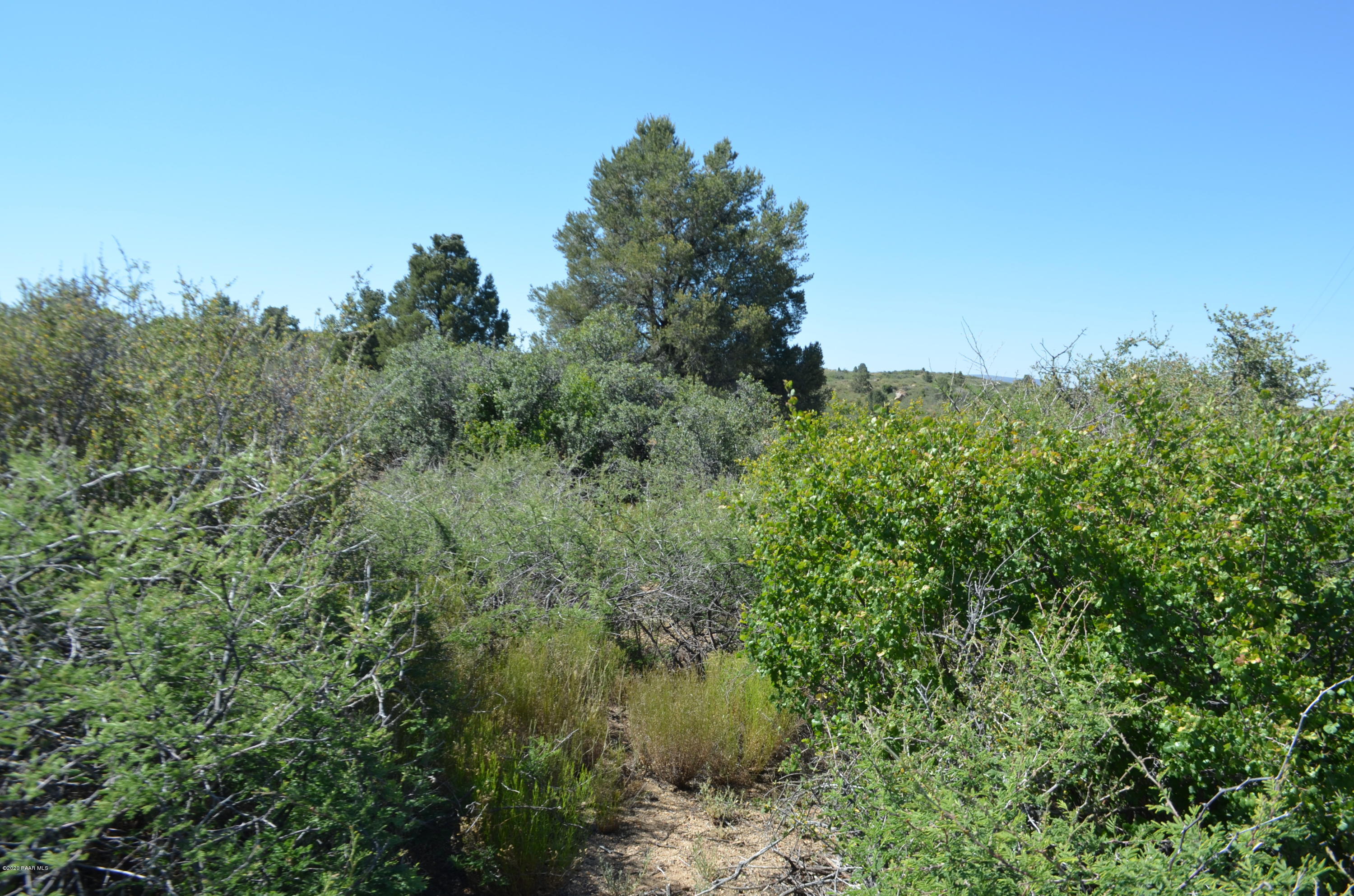 153 South Rainbow Bend Road Skull Valley, AZ 86338 - Photo 17 of 29 DSC_2857