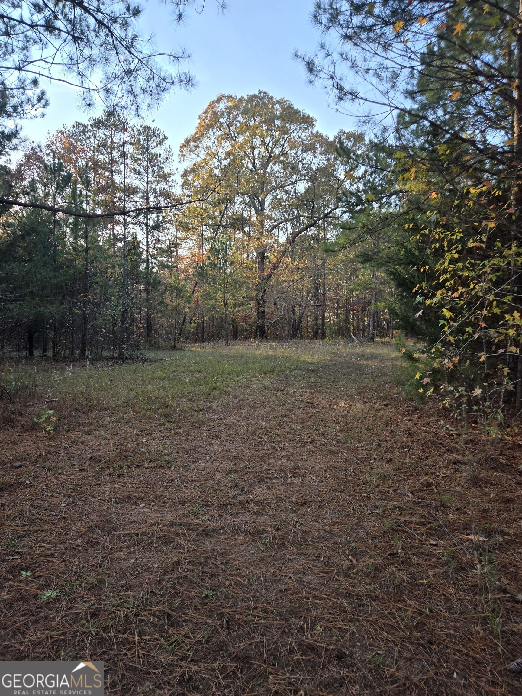571 King Bostick Road Covington, GA 30016 - Photo 15 of 19 Gallery Image 15