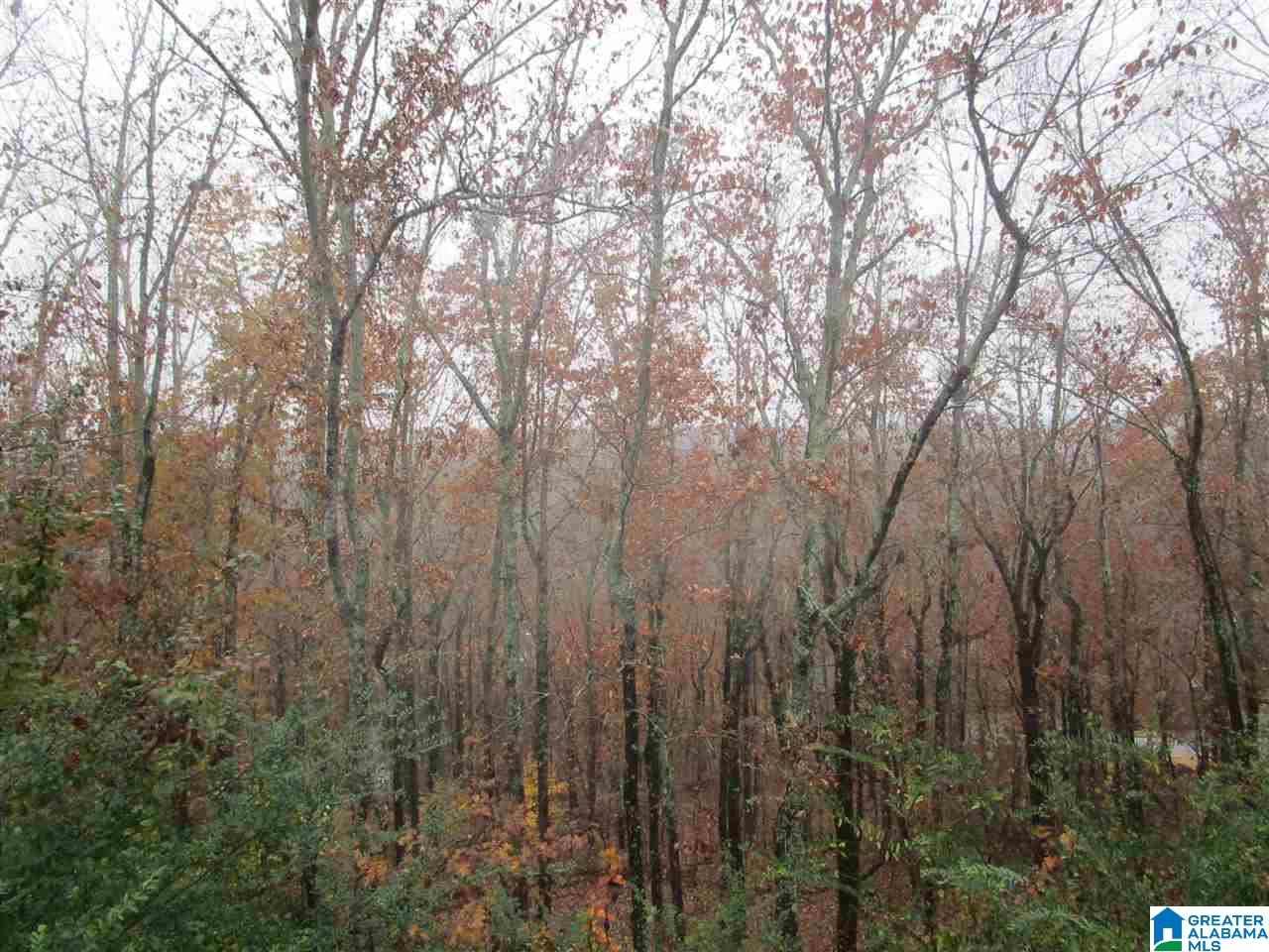 4728 South Shades Crest Road Helena, AL 35022 - Photo 26 of 27