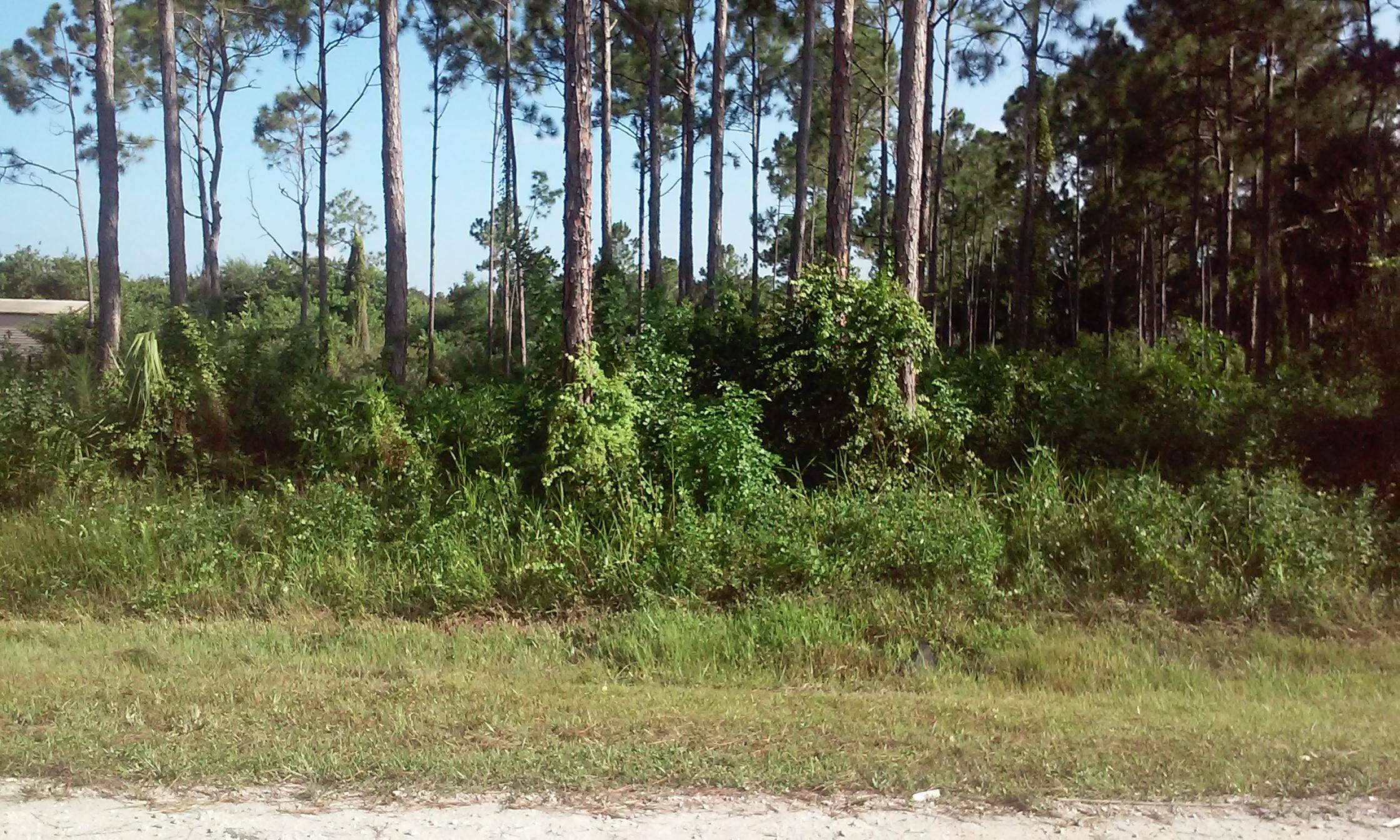 B-128 E 154th Road North Jupiter, FL 33478 - Photo 1 of 3 0719151742
