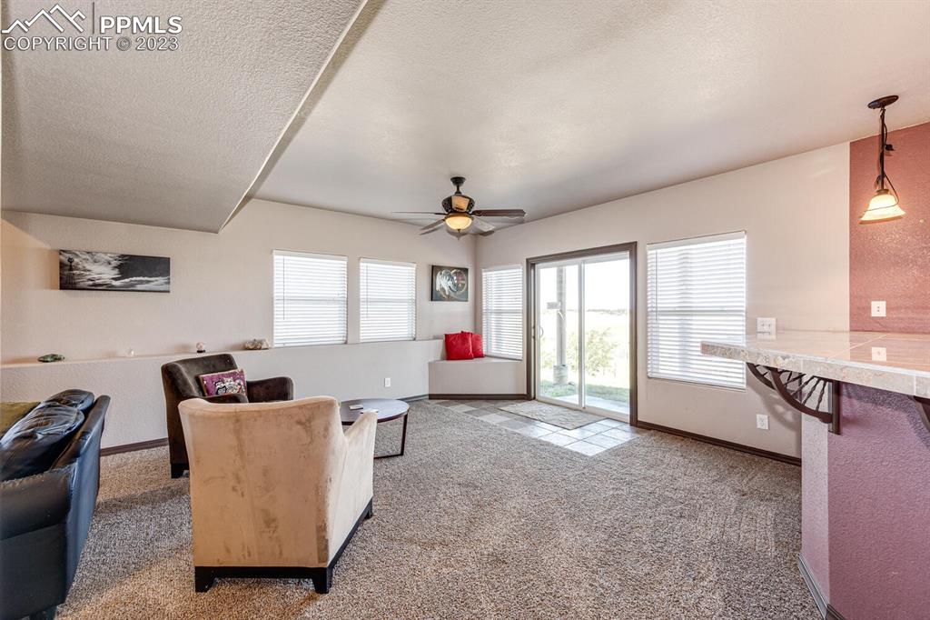 4685 County Road 106 Elbert, CO 80106 - Photo 28 of 43 a living room with furniture and window