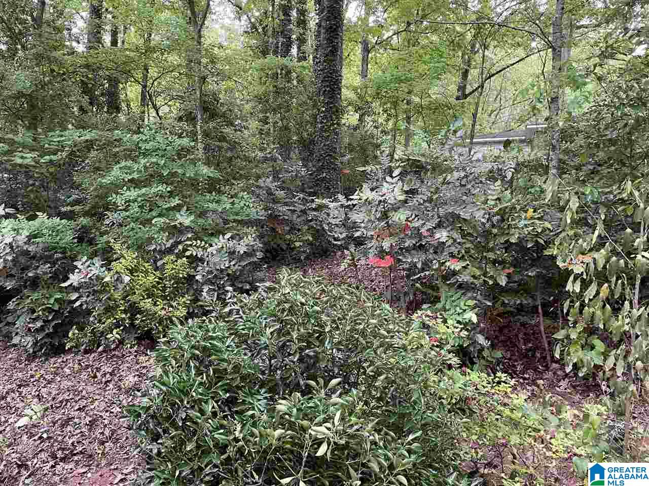 609 Rebecca Road Birmingham, AL 35206 - Photo 18 of 26 Gallery Image 18