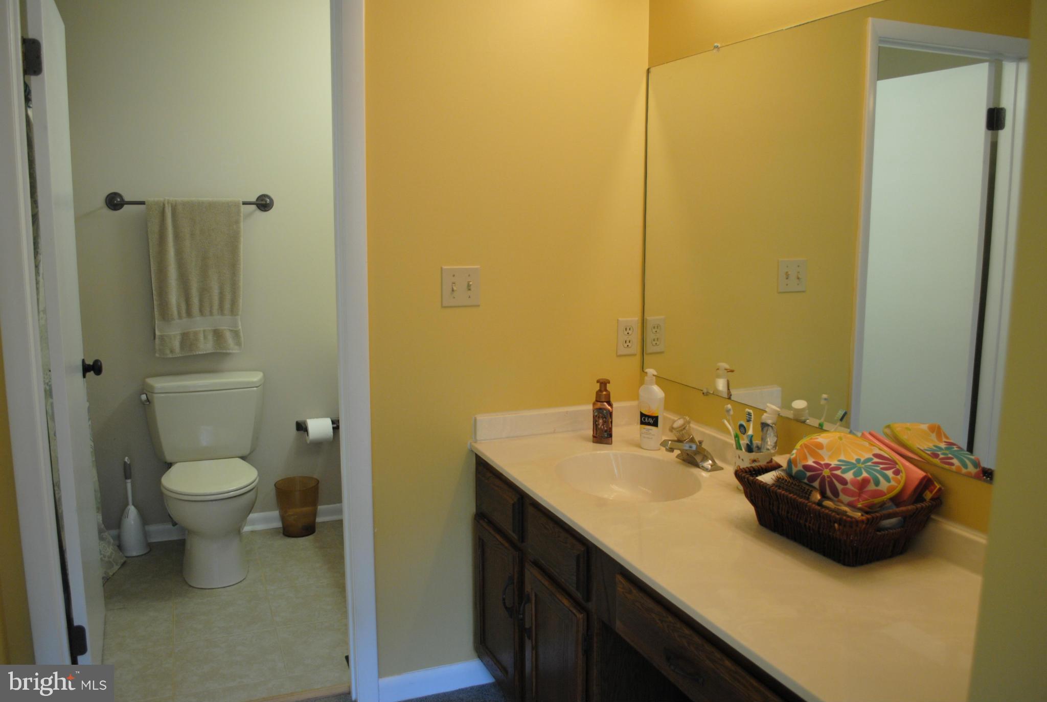 43545 Little Cliffs Road Hollywood, MD 20636 - Photo 22 of 30 Bath (Master)