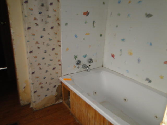 995 Alpine Road Seymour, TN 37865 - Photo 11 of 11 DSC08771