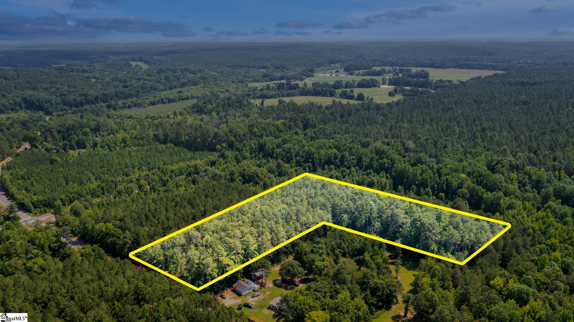 0 Stomp Springs Road Clinton, SC 29325 - Photo 12 of 15