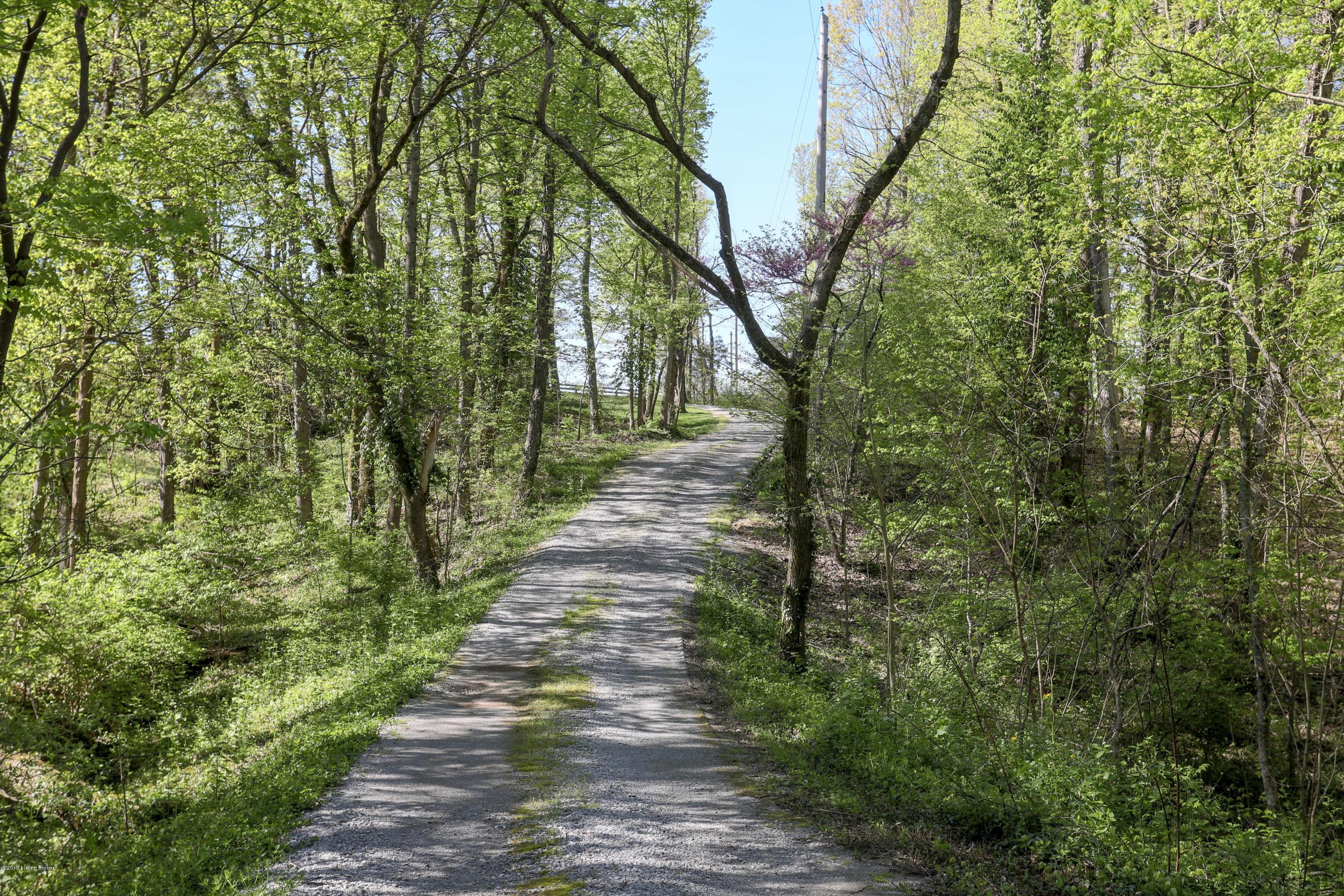 7401 Old Heady Road Louisville, KY 40299 - Photo 52 of 56 Wooded drive to Old Heady