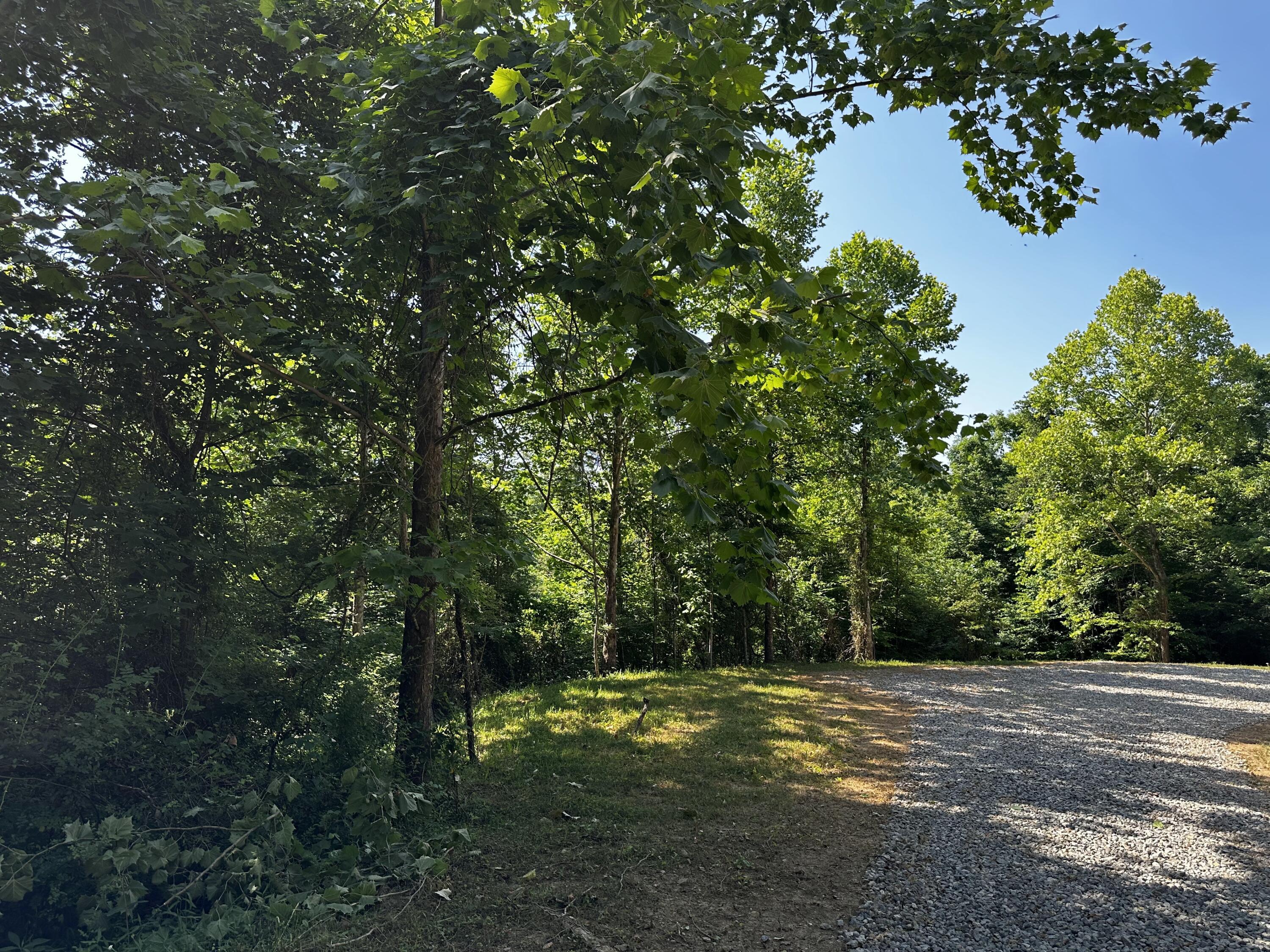 1101 Hull Road, Unit TRACT 9 WOODS WAYNE FOREST) Patriot, OH 45658 - Photo 12 of 61 20240621_144156508_iOS