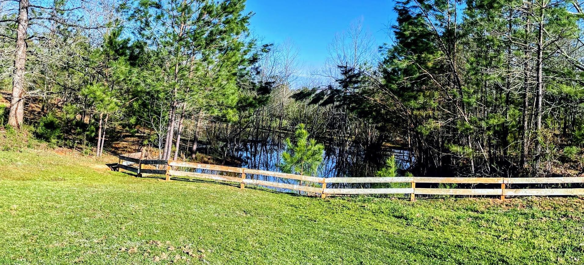 395 Hannis Road Bolivar, TN 38008 - Photo 13 of 24 a view of a backyard with lawn chairs and a large tree