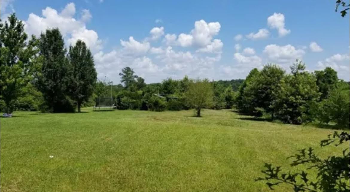 395 Hannis Road Bolivar, TN 38008 - Photo 14 of 24 a view of field with tall trees