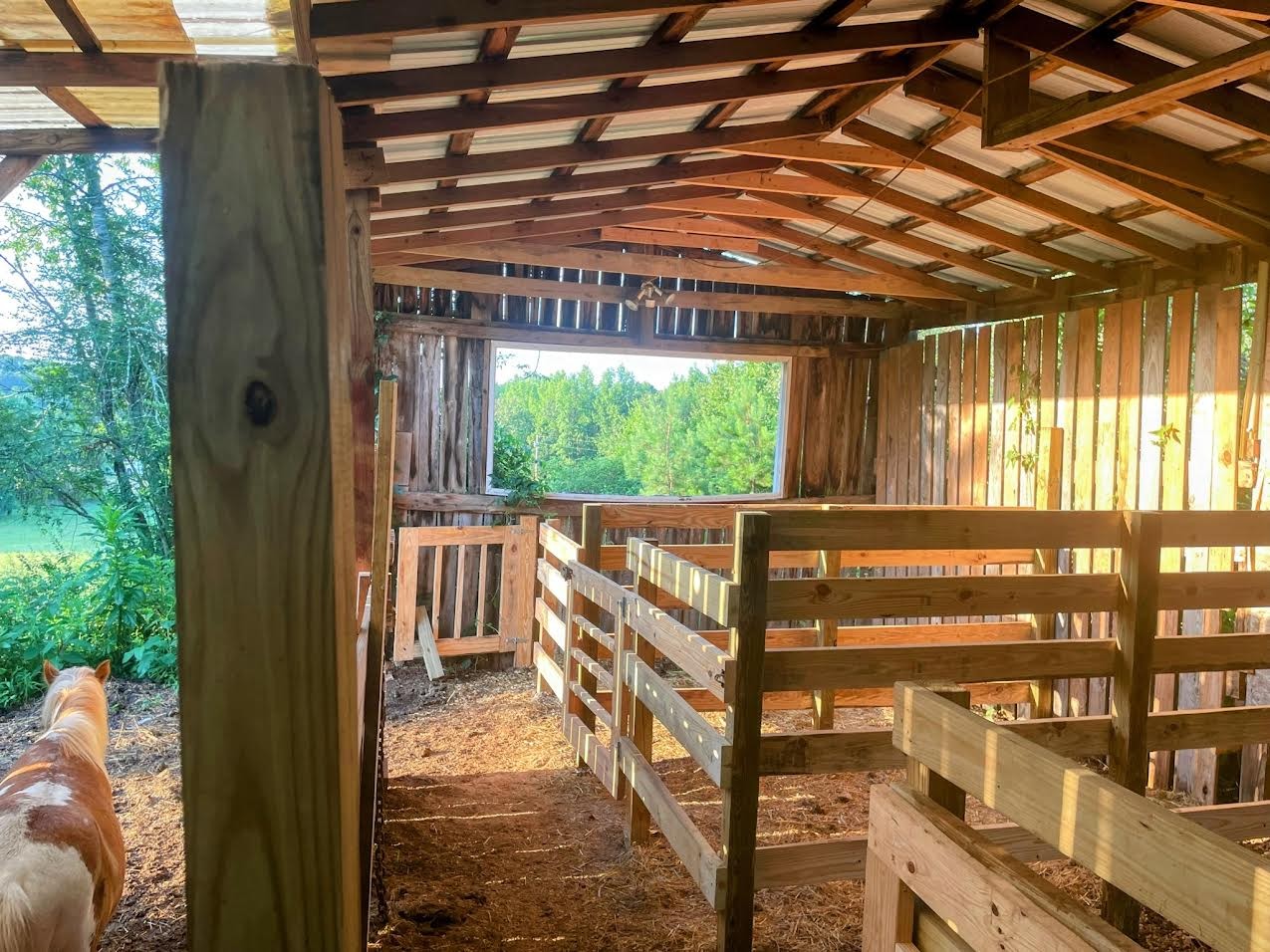 395 Hannis Road Bolivar, TN 38008 - Photo 15 of 24 a view of a porch with a yard